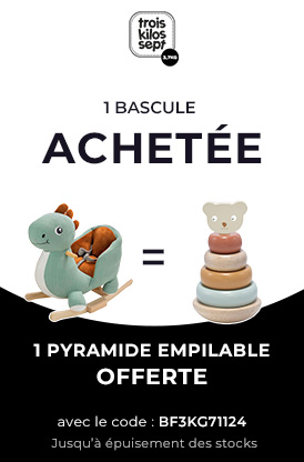 trois-kilos-sept-1-bascule-achetee-1-pyramide-empilable-en-bois-offerte