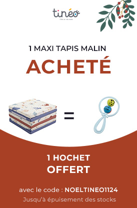 tineo-1-maxi-tapis-malin-1-hochet-vulli